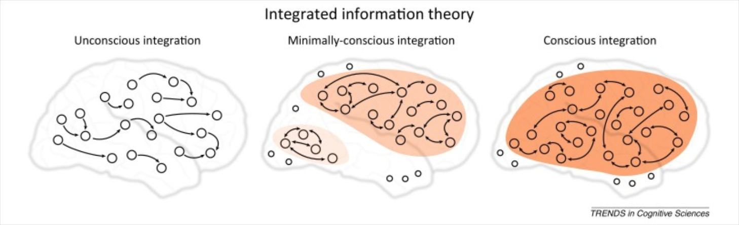 Integrated Information Diagram